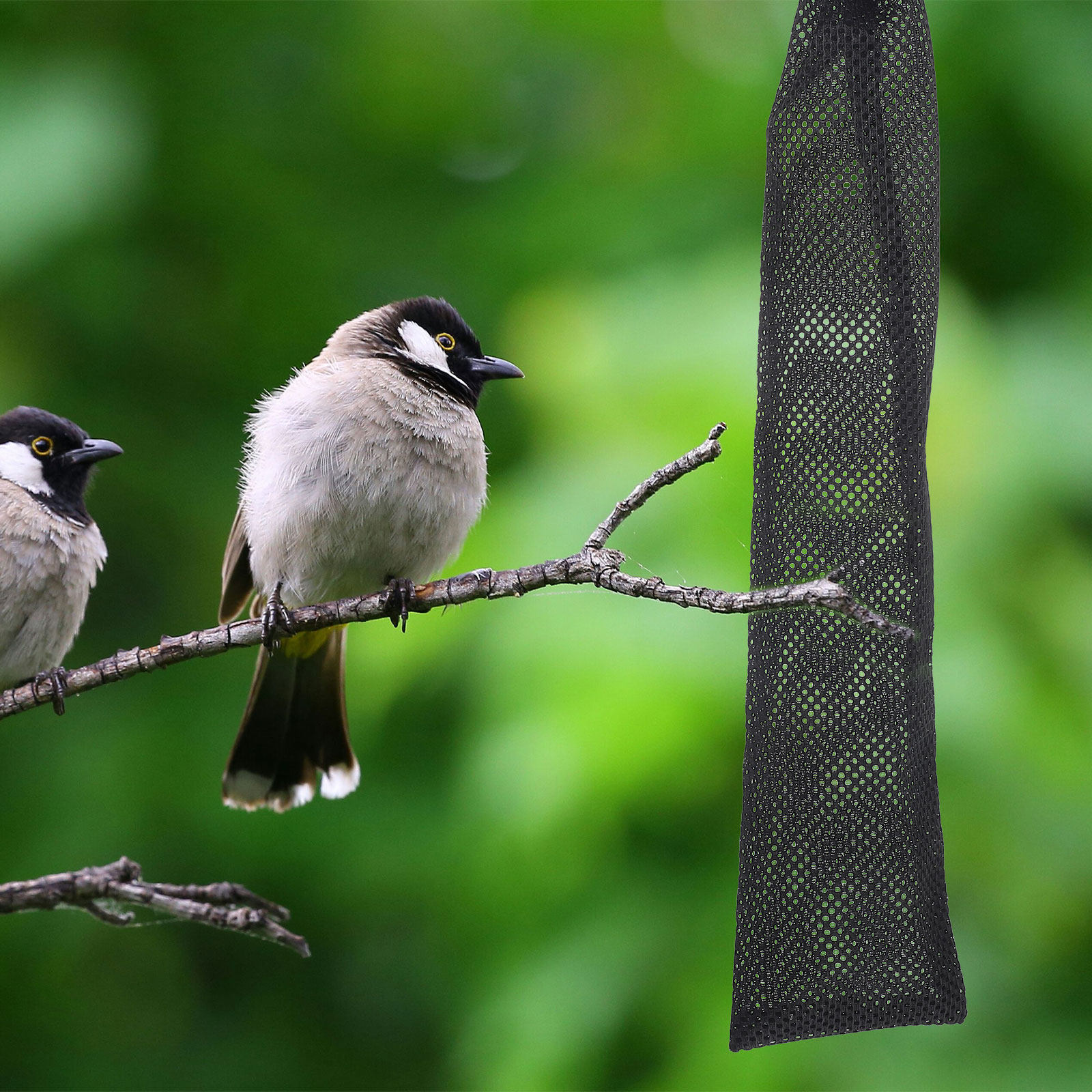3Pcs 새 먹이주머니 나일론 내마모성 드로스트링 메쉬 - Mesh Feeder Bag 리뷰 및 가격